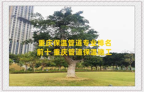 重庆保温管道专业排名前十 重庆管道保温施工